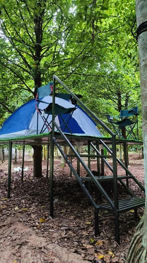 Dragster Tents Kizhake Chalakudi Luxury tent
