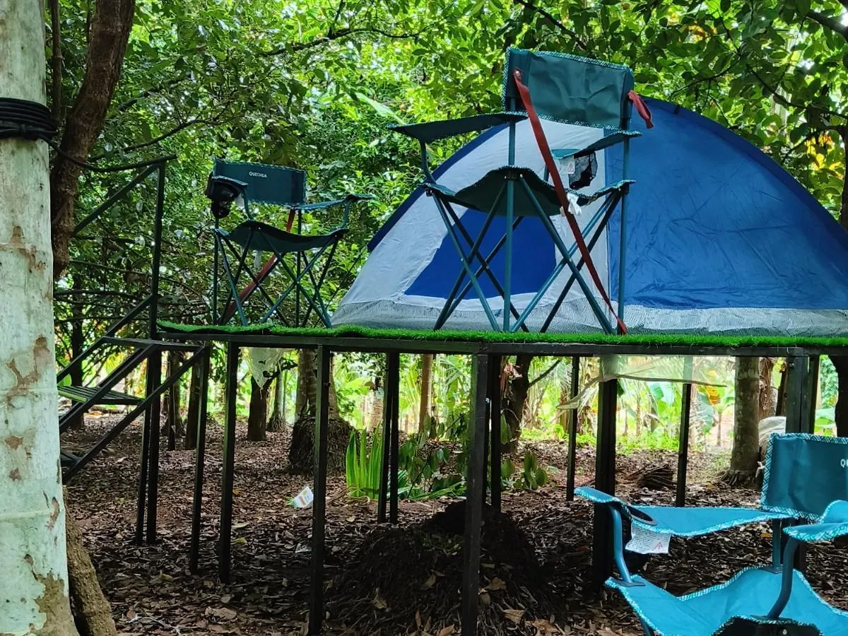 Luxury tent Dragster Tents Kizhake Chalakudi