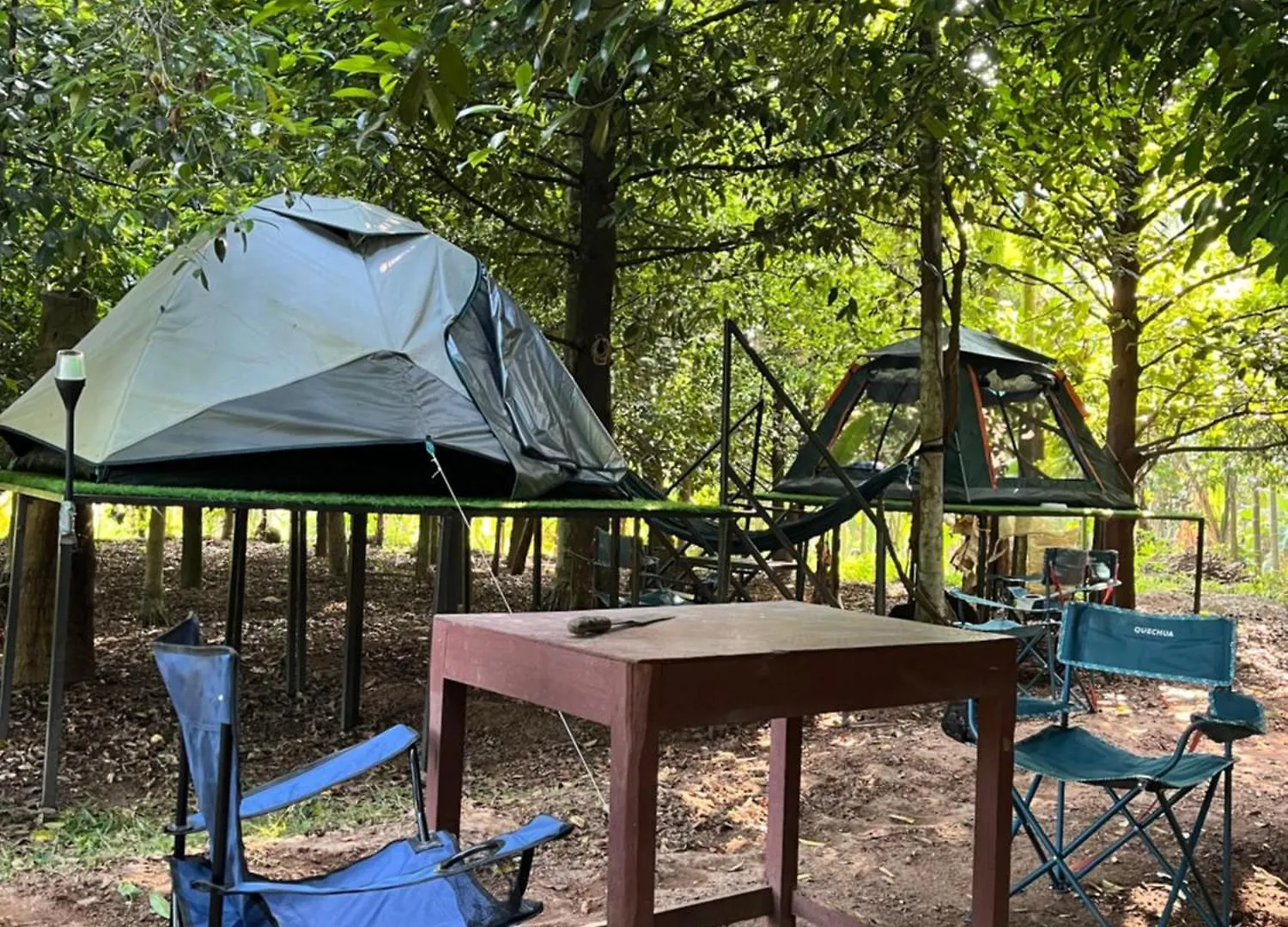 Luxury tent Dragster Tents Kizhake Chalakudi India