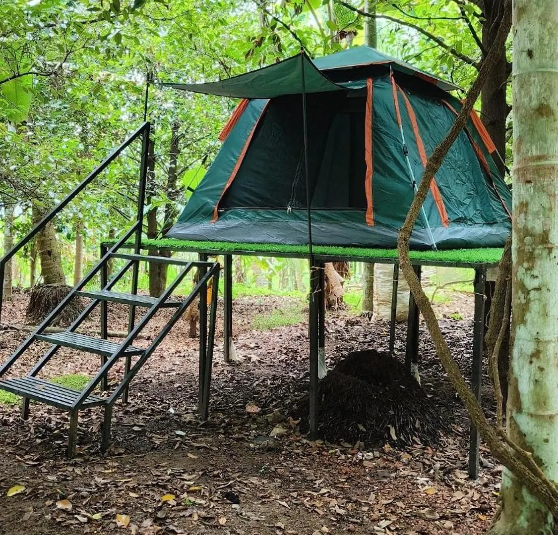 Dragster Tents Kizhake Chalakudi 0*,