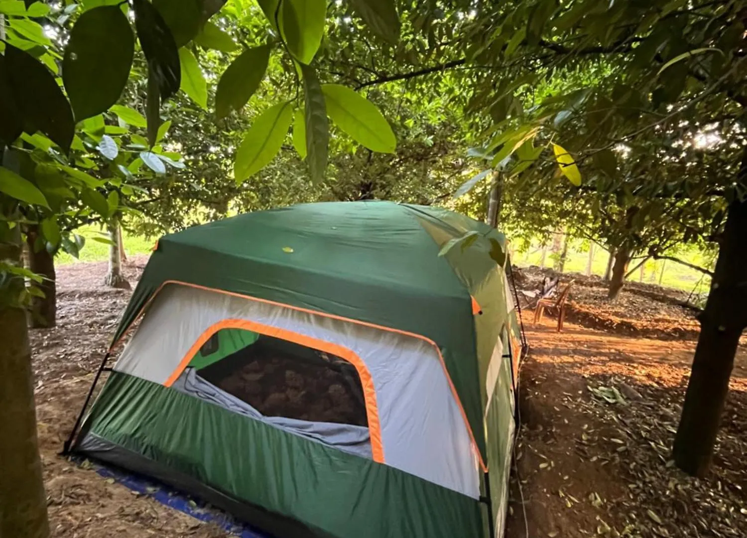 Dragster Tents Kizhake Chalakudi Luxury tent