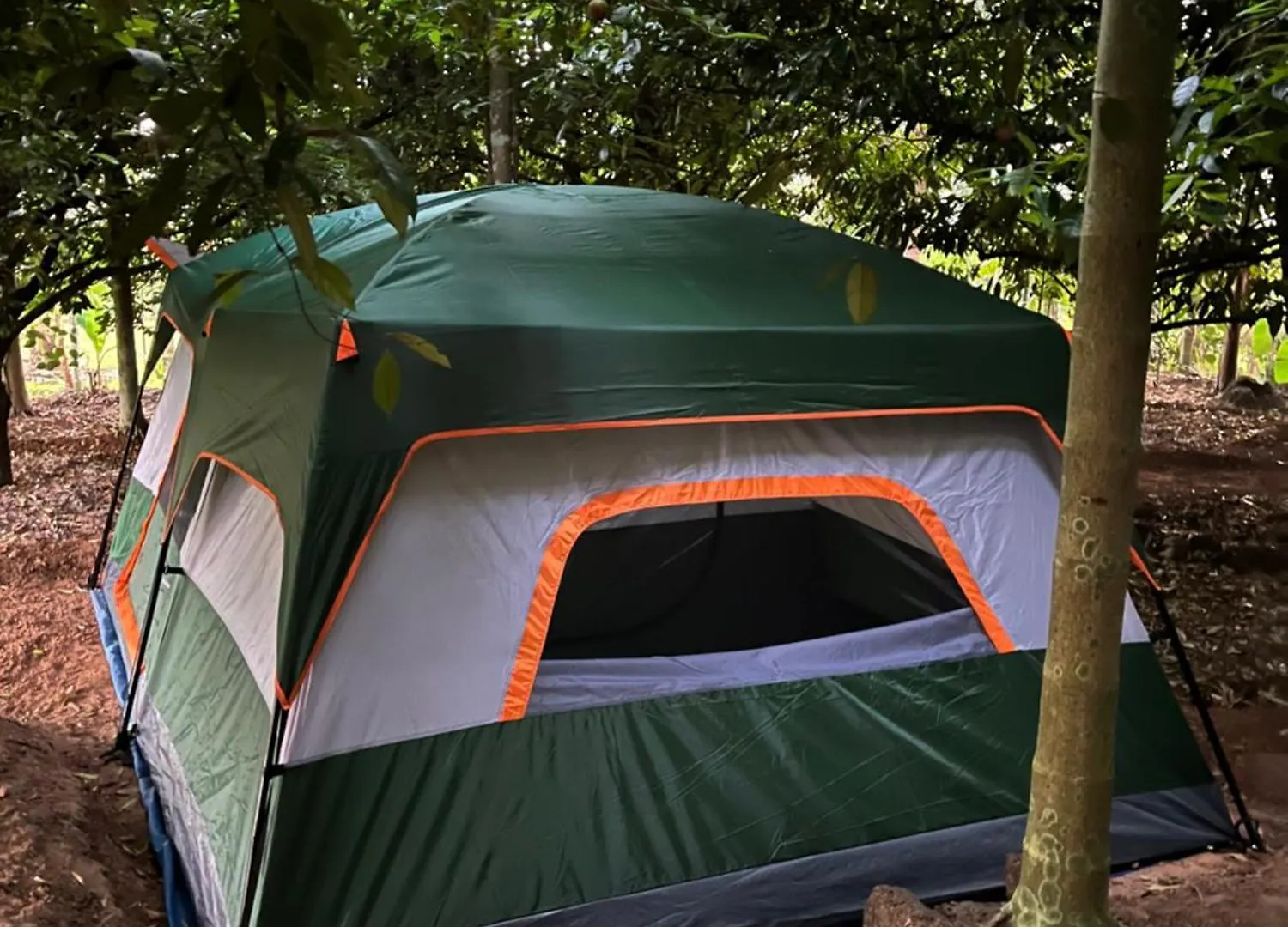 Dragster Tents contacts
