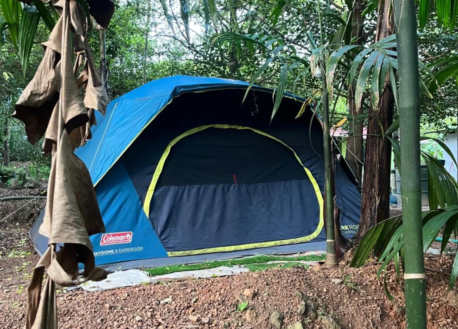 Luxury tent Dragster Tents Kizhake Chalakudi