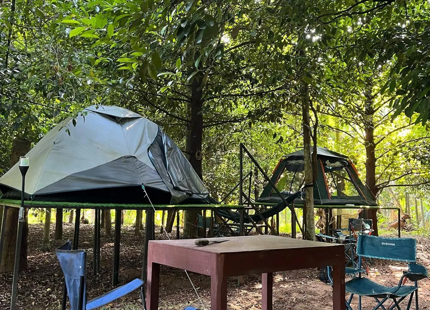 Dragster Tents Kizhake Chalakudi India